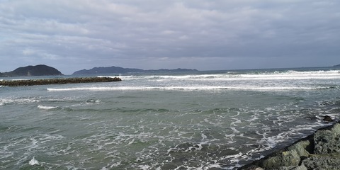 IMG_20210303_090417