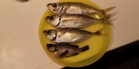 IMG_20200410_004959