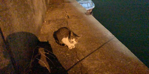 IMG_20200116_214659