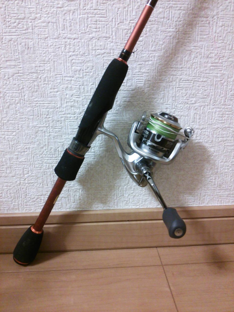 リールについて でぃーすけ君の感動をありがとう 湘南 西湘 ヒラメ シーバス マゴチ それから テニスも リールについて でぃーすけ君の感動をありがとう 湘南 西湘 ヒラメ シーバス マゴチ それから テニスも