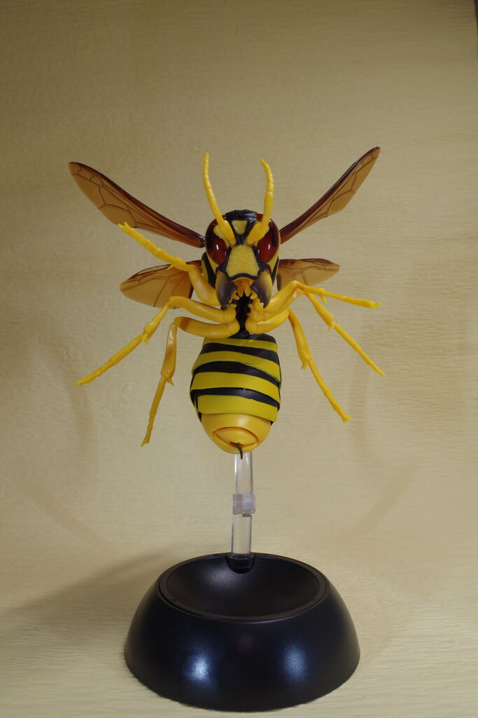 いきものシリーズ スズメバチ ガチャガチャ レビュー ふぃぎゅたく