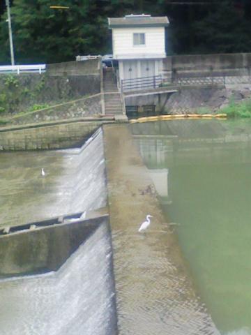 20111015_1.jpg