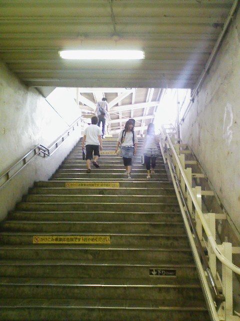 20100828shimokita7.jpg