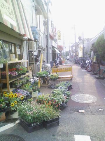 20100724Gotokuji4.jpg