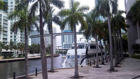 miami_1