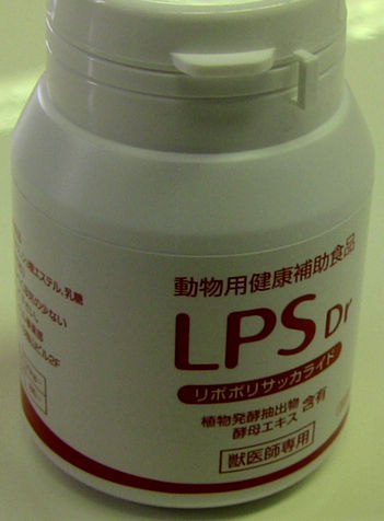BLOG_2
