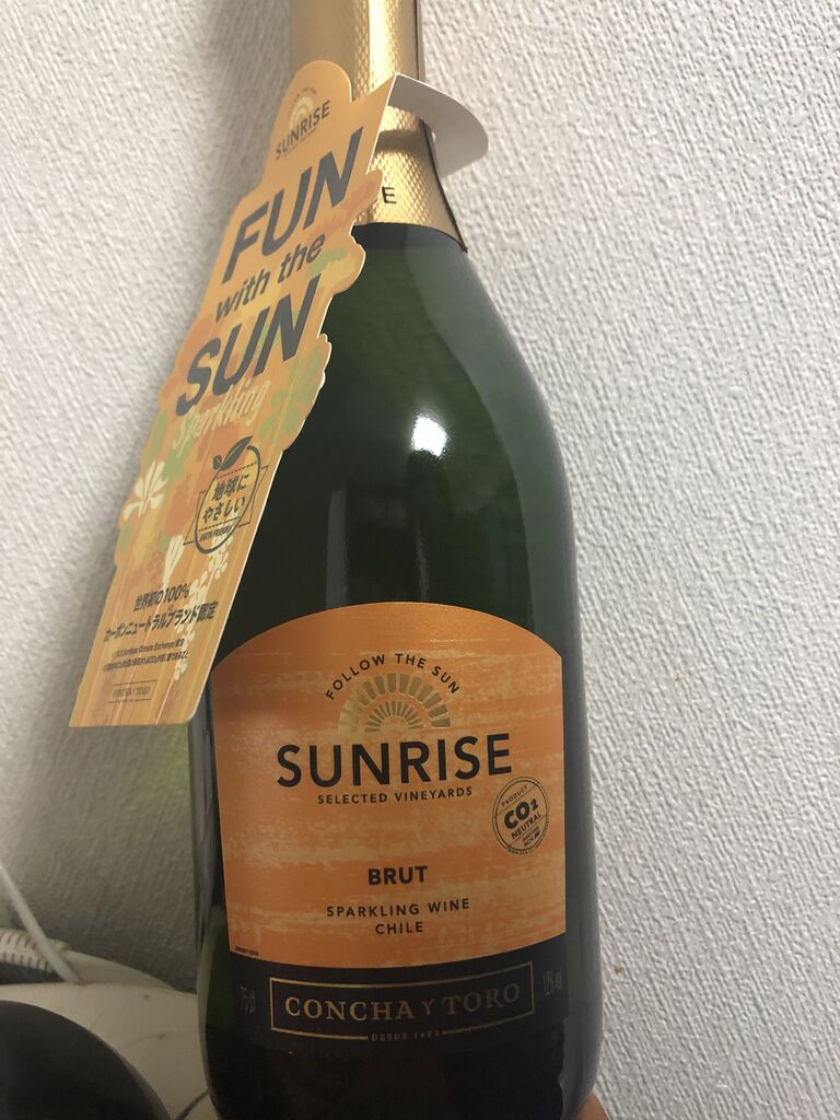 N国党の市政選挙投票が終わったので祝杯を挙げる 堕天使のお花畑 ひきこもりニート堕天使ブログ