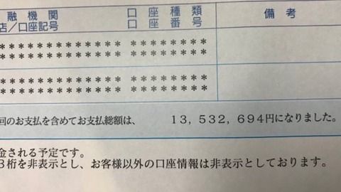 保険無しで事故起こした人生悲惨すぎるんやが