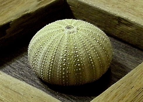 画像・動画まとめブログ | 2ch検索モナミ