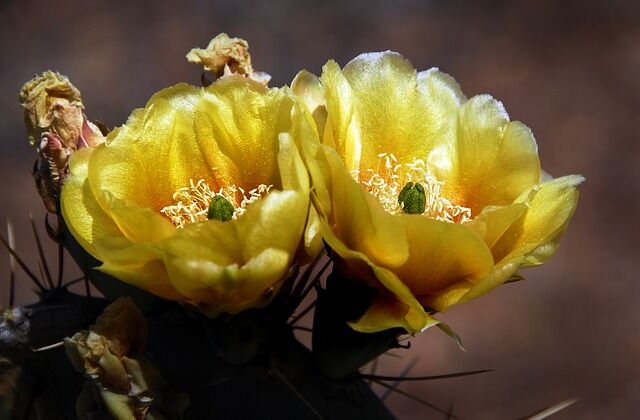 f:id:madame-nn:20120515145143j:plain