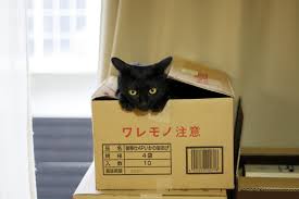 moved