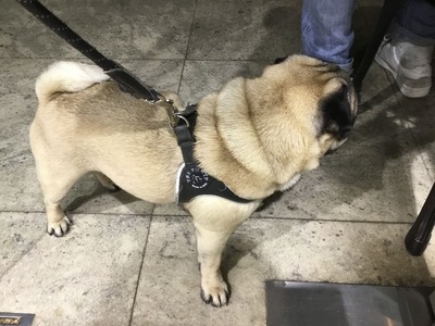 787A172D-F783-43E6-8204-C5A4330D8AED