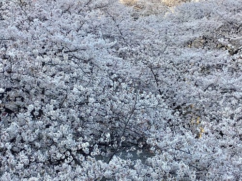 A5EDBC0E-1049-41D2-B793-930ED4126496