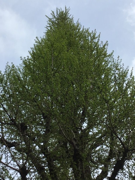 93FC4C39-2D46-46F2-85A1-C9FF3A327636