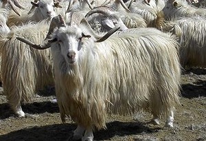 48A86014-0EBA-4780-A09F-1D98AC5E8563