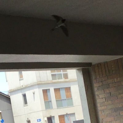 8F1A62E5-2539-47C7-9551-ABF941E8FD6A