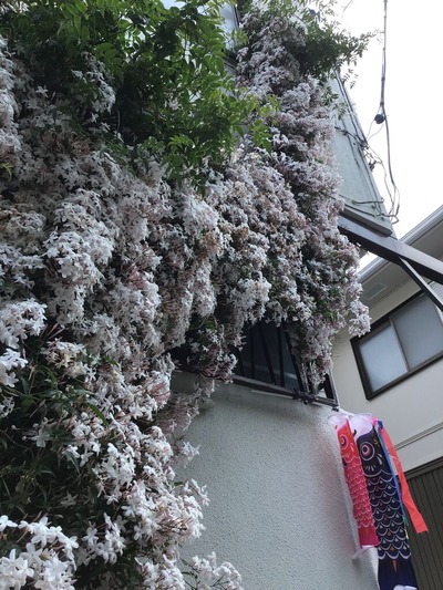 BDA405FC-D90C-4A58-8B01-D6CD5117ABB9