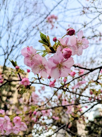 PXL_20260218_081508122~2