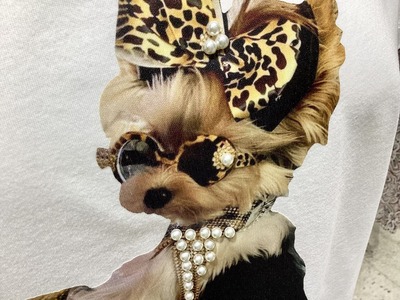 3668313B-E871-46A8-8433-2BB30029A615