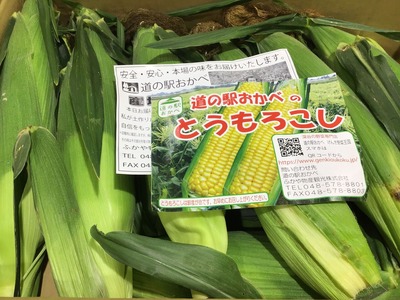 3C859BCB-5010-48C4-8F8B-F65E516B6A3C