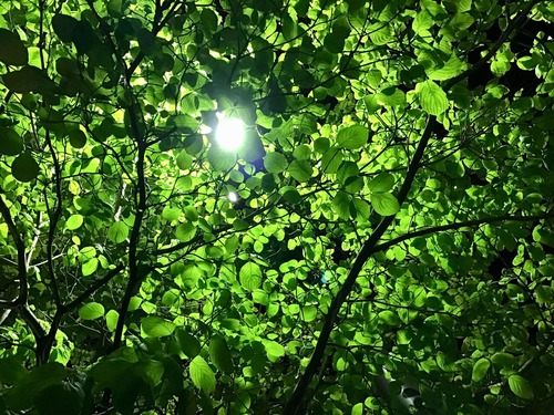 927E3496-02F3-49BE-A3A1-CB3F0B8B34F7