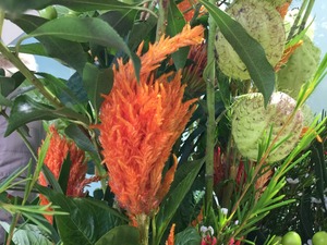 BEC2C3DE-E005-424D-B816-84A3C2E19F30