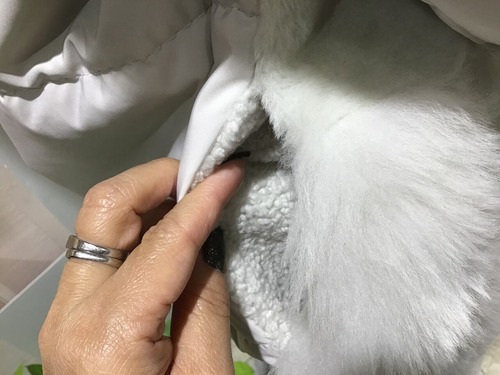 90E19241-B5E2-4E84-A163-6CBF1C71C759