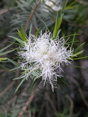 PXL_20260524_085738303