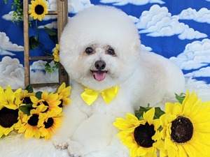 3FB8AA61-EDA4-4548-985C-65FAC5165E5A