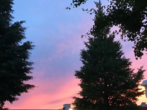 519FC9ED-D53B-45F9-9829-CD82071EA2F8