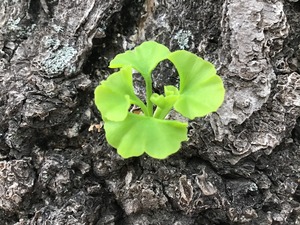 77E06488-F2E1-4744-9442-A9796B646847