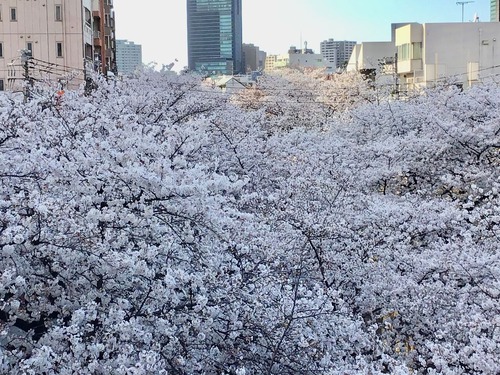 05A7541D-B494-4938-8B57-4E47B2954A37