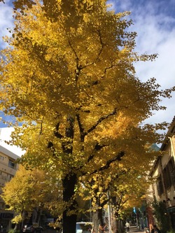 D0D830B0-6165-4A79-9D3D-22C428502FA6