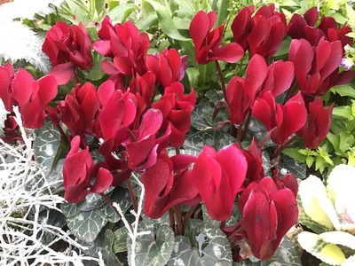 1B108567-B331-4D49-9B18-677BD9132FB7