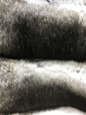 FB430893-67D6-484F-B4C2-BD338018FD0E