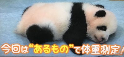 02F68715-B8F6-4CB3-85BC-FFDD0F618973