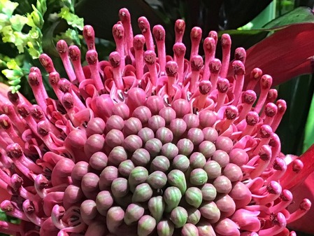 364C0827-E3F6-4E58-A5EB-8ABAE497E806