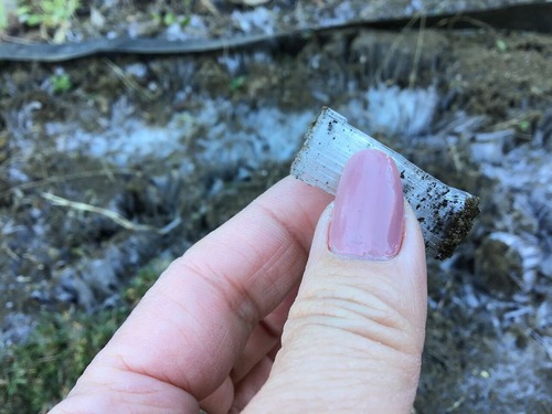 157D4712-72FC-41AF-8FCE-38EF05B3A251