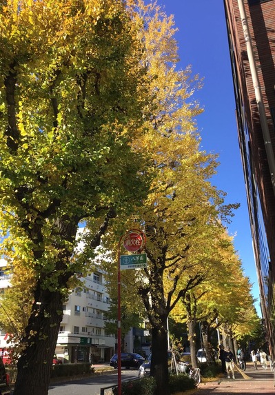 BC4881B6-B20F-41E3-AED7-B8879DB110EE