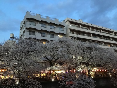 44F00767-EDEE-41A5-BD9B-6F7169E562EB