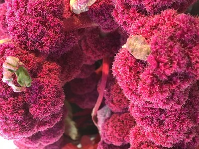 D986116F-6583-4266-B218-3C70B6BD8499