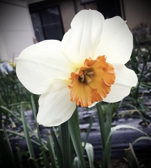 3228FE87-9FB2-45DE-B24A-C8493201ADC7