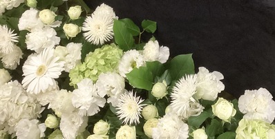 29A2C6DB-F6DB-4977-9619-5FDBF2BF8DA3