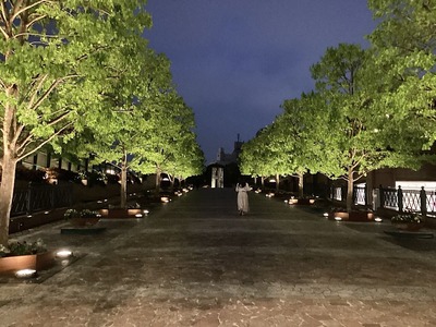 55C1A91F-8FD9-4D33-BC5B-E48D696369BF