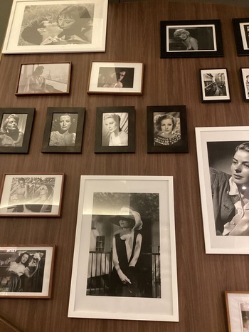 9A875776-0E6D-447B-AE2D-093D15335904