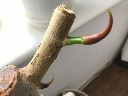 5A293706-657B-4DFF-BA71-82F1460FF733