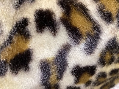 9B8CB93B-35DA-481B-A15F-77B9BE93FBCB