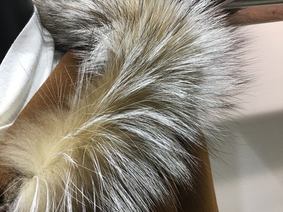 37093519-BA88-414F-B8DB-6351583615AF