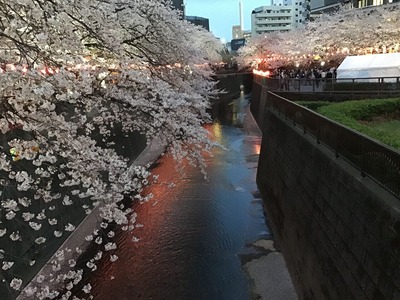 BDC99294-4602-4B61-AA91-B32633899FB9