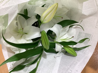 0CD87545-239A-4D9C-B3EB-91108E7EEEDC